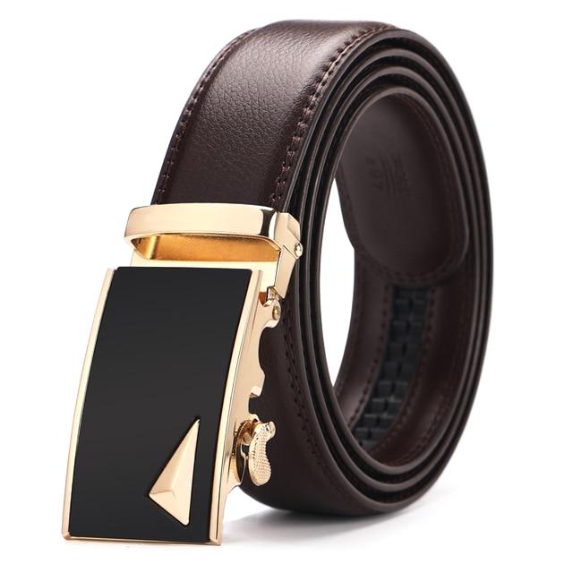 Brown & Gold Leather Suit Belt