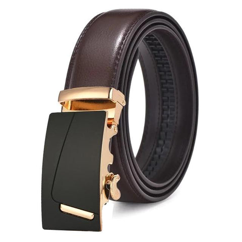 Brown & Gold Leather Suit Belt
